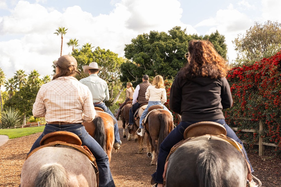 The Inn at Rancho Santa Fe Horseback Trail Riding