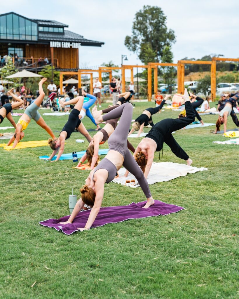 people doing yoga