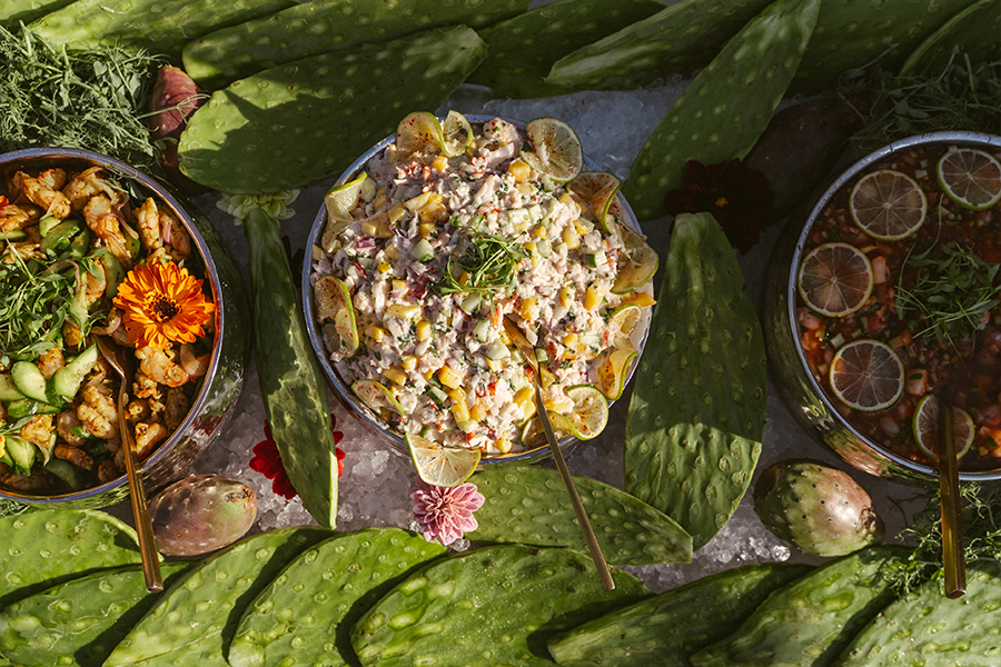 Agave Fest Estancia La Jolla