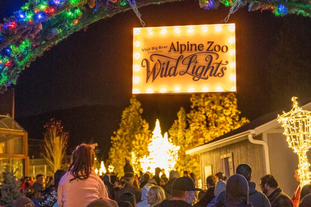 Step through the glowing entrance arch at Alpine Zoo Wild Lights in Big Bear