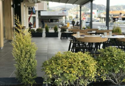 authentic Italian cuisine restaurant