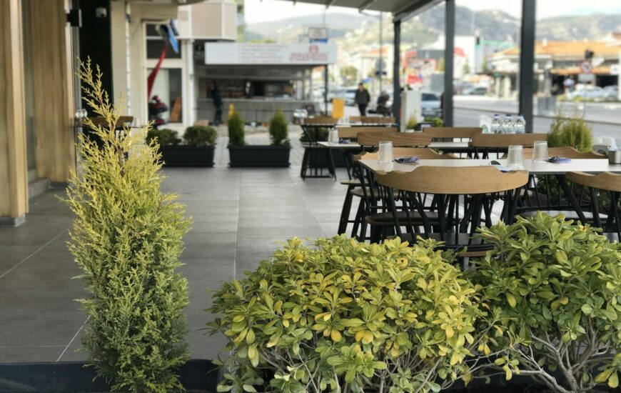 authentic Italian cuisine restaurant