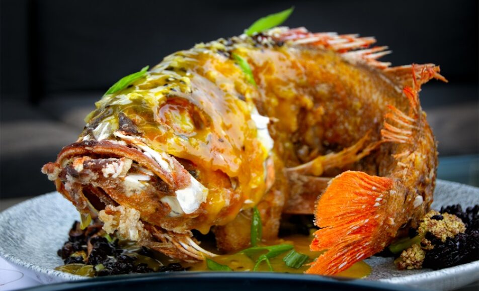 The Avenue Fish & Oyster Company