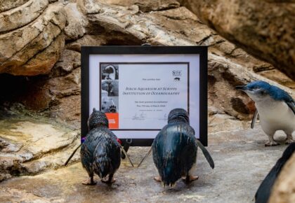 Birch Aquarium Aza Accreditation