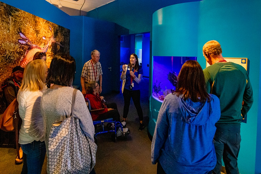 Birch Aquarium’s New Tours Take Guests Behind The Scenes For The First Time