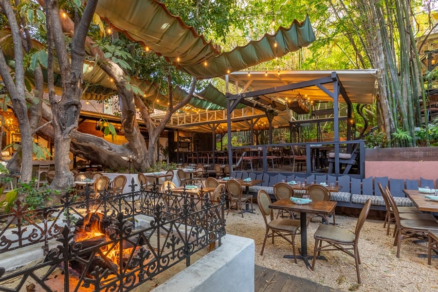 major restaurant openings in San Diego