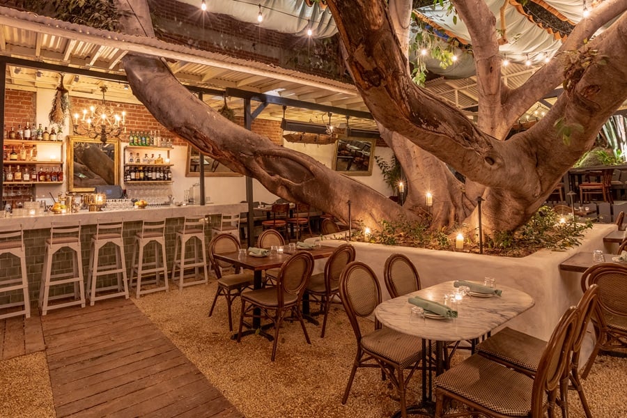 bacari restaurant