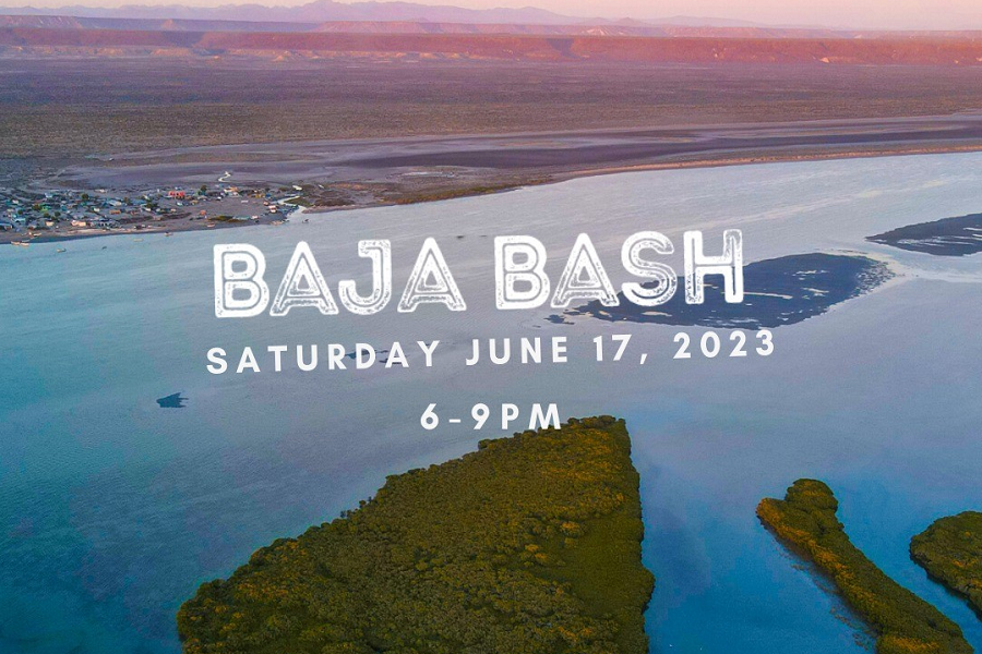 Wildcoast To Host 11th Annual Baja Bash
