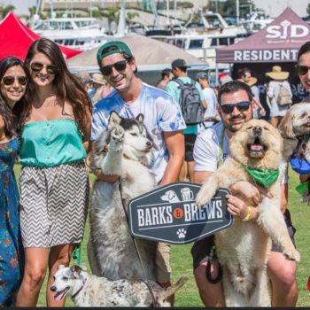 Barks & Brews Is Back!