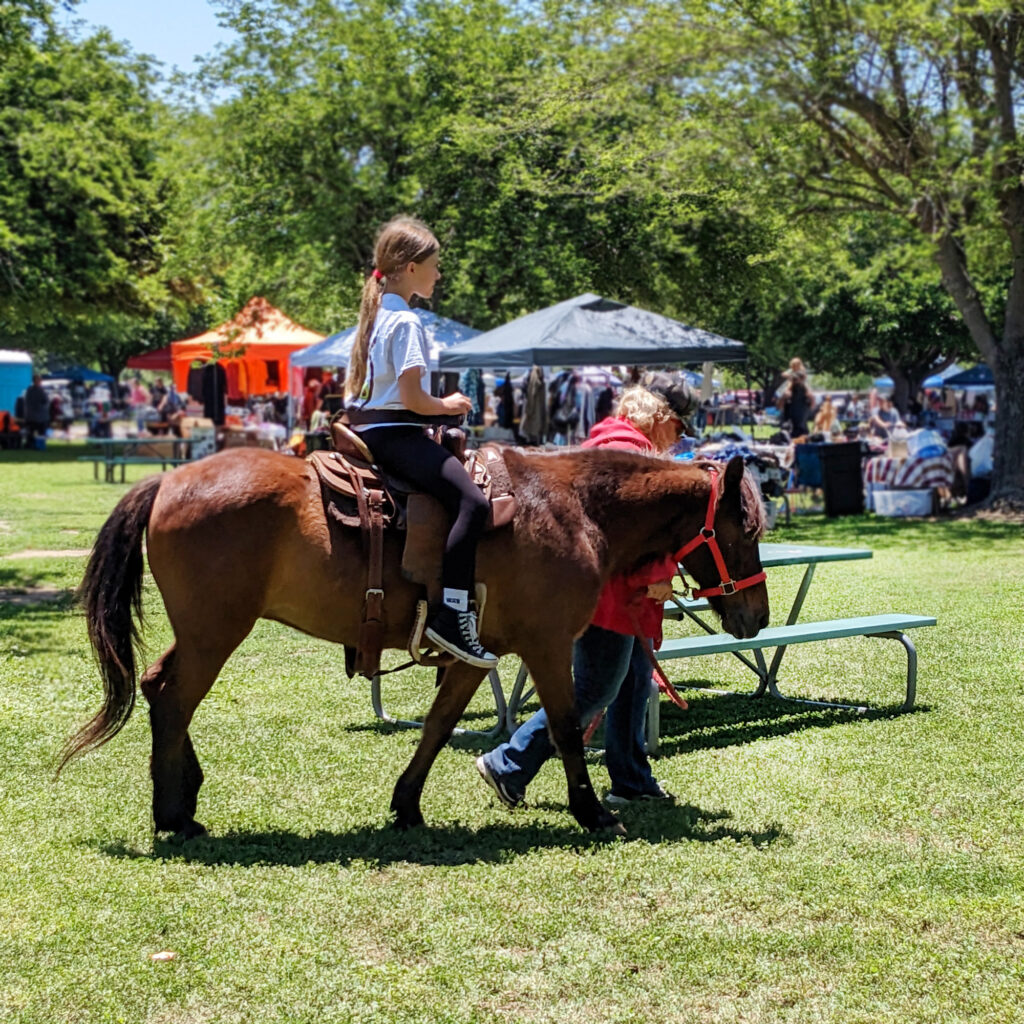 Summer Food Festival