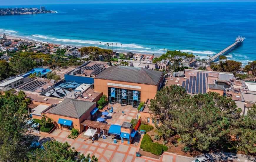 Birch Aquarium on the hill