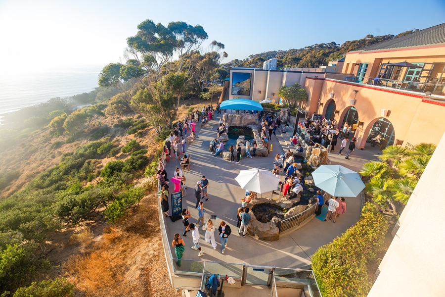 Birch Aquarium nighttime programming