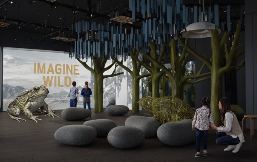 Imagine Wild: Mountain Yellow-legged Frog Exhibit at Birch