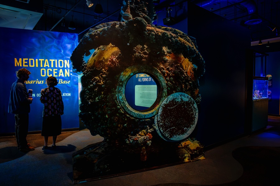 birch aquarium meditation ocean
