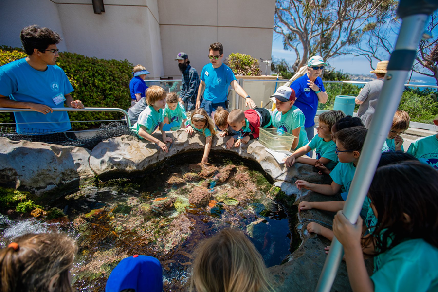 Birch Aquarium Summer Camps