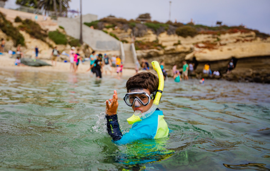 Birch Aquarium Summer Camps