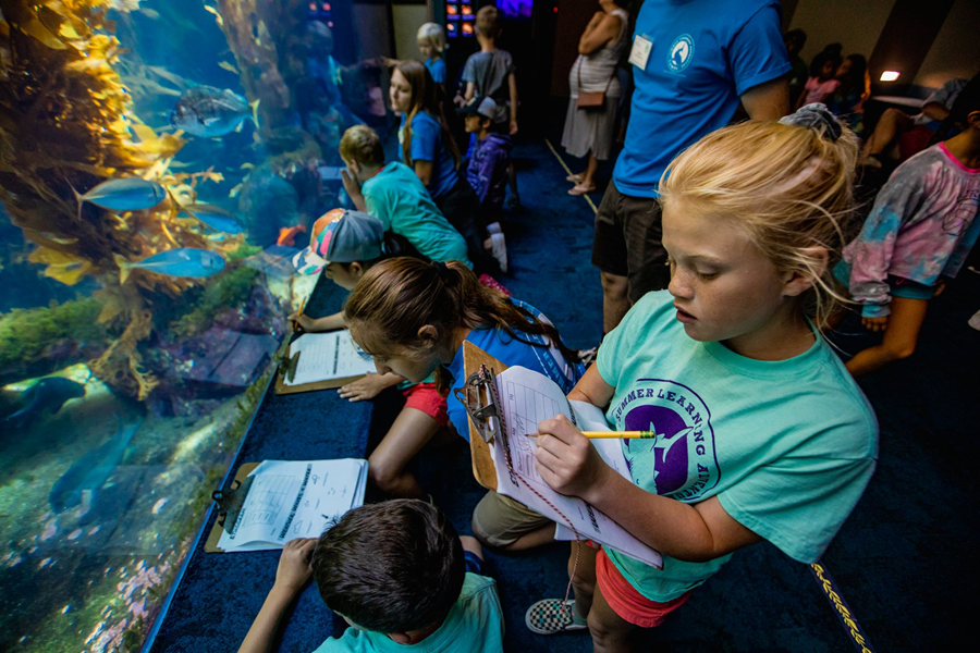 Birch Aquarium Summer Camps