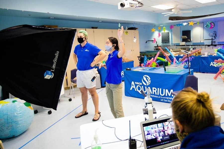  Birch Aquarium Launches New Suite Of Virtual Education Programming