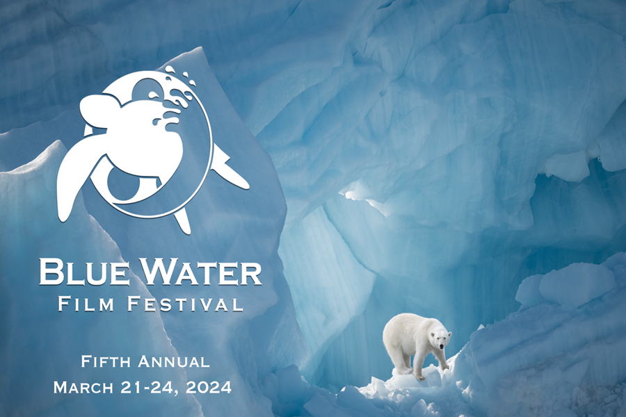Blue Water Film Festival