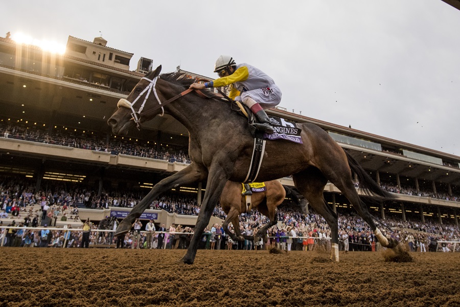 Breeders' Cup World Championships at Del Mar