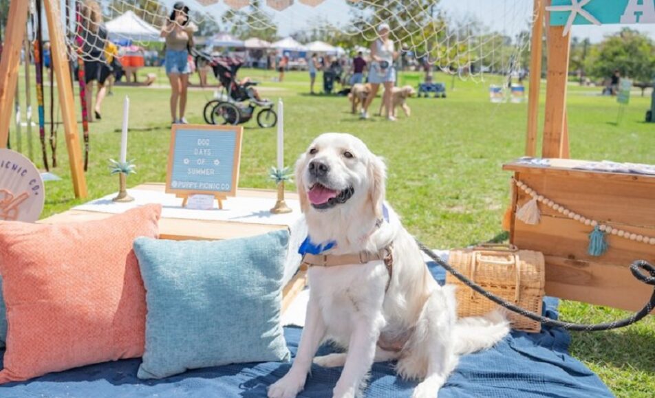 Libation Lounge at Cardiff Dog Days of Summer