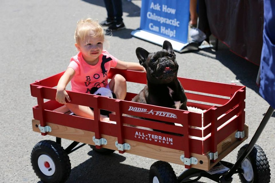 Pupologie’s Cardiff Dog Days Of Summer Is Back For Its 18th Year