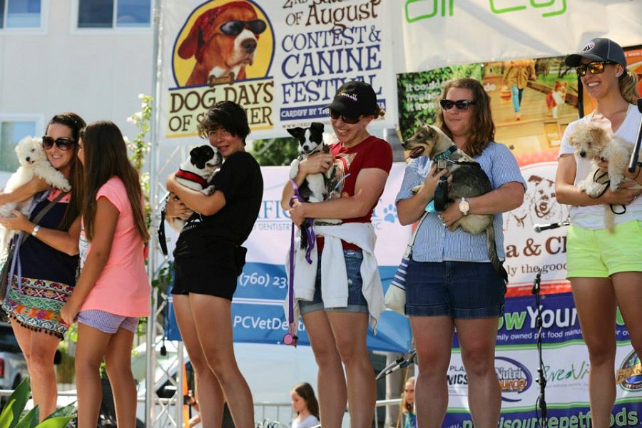 pets and their owners standing on stage 