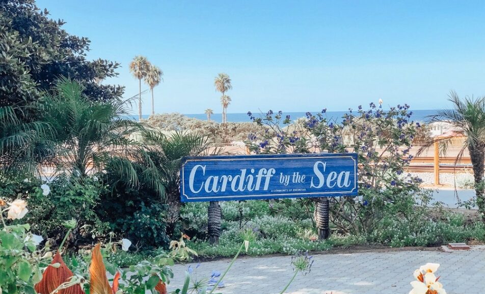 Cardiff Farmers Market Hosts Surfboard Swap