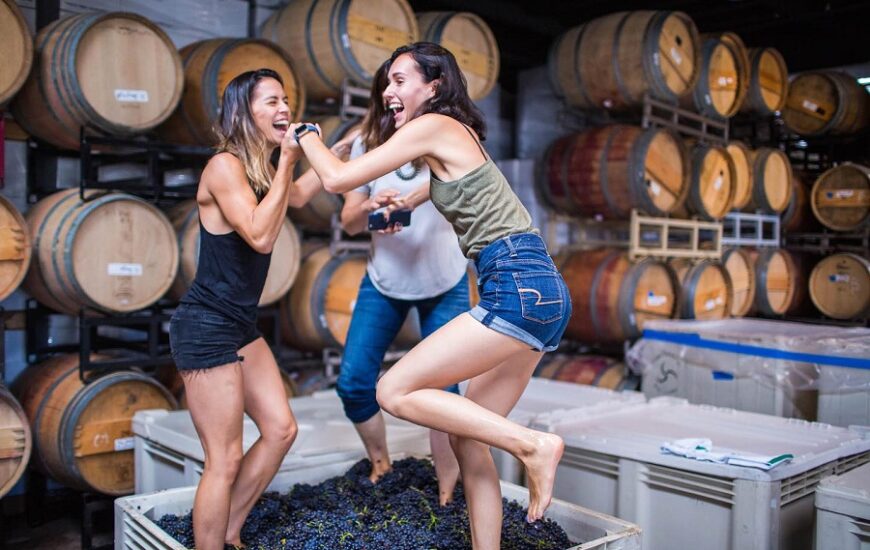 Carruth Cellars’ Harvest Celebration Now In Full Swing!