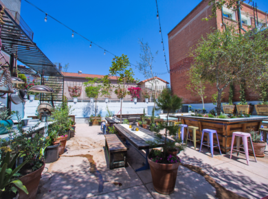 There’s A Secret Wine Garden In Little Italy!