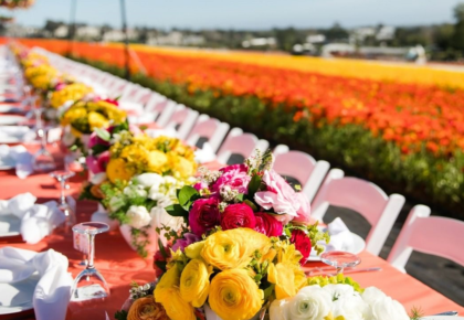 Field To Vase Dinner Series Coming To The Flower Fields In Carlsbad