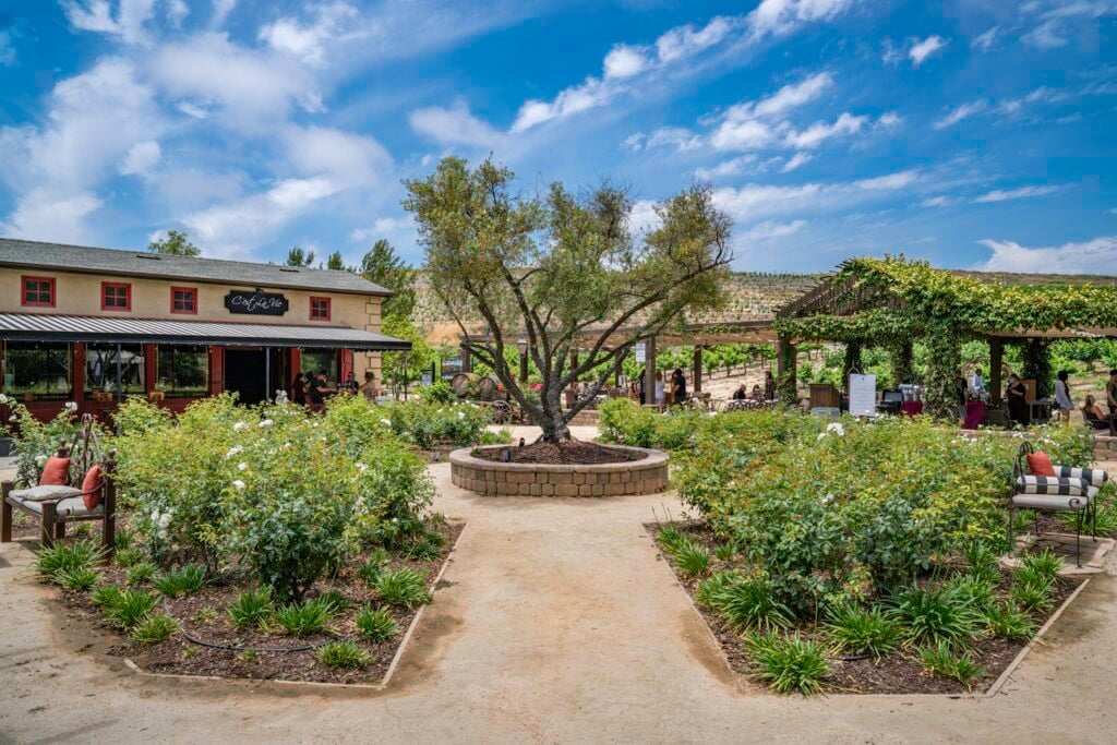 Father's Day Specials san diego