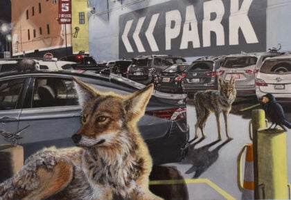 Oceanside Museum of Art Changing Terrain: Regional Artists Interpret Our Landscape