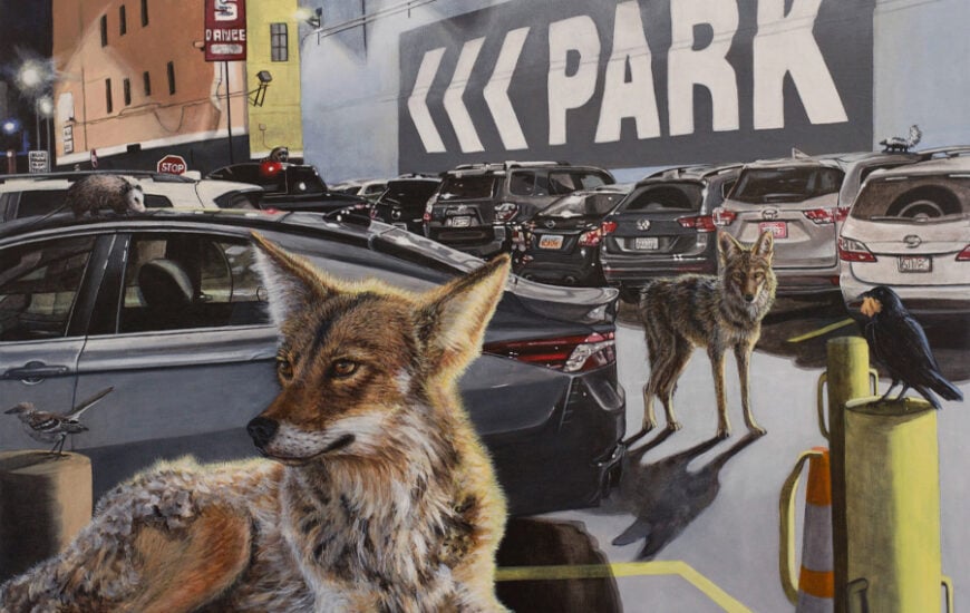 Oceanside Museum of Art Changing Terrain: Regional Artists Interpret Our Landscape
