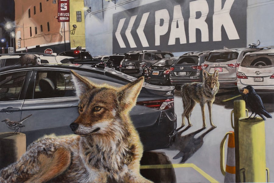 Oceanside Museum of Art Changing Terrain: Regional Artists Interpret Our Landscape
