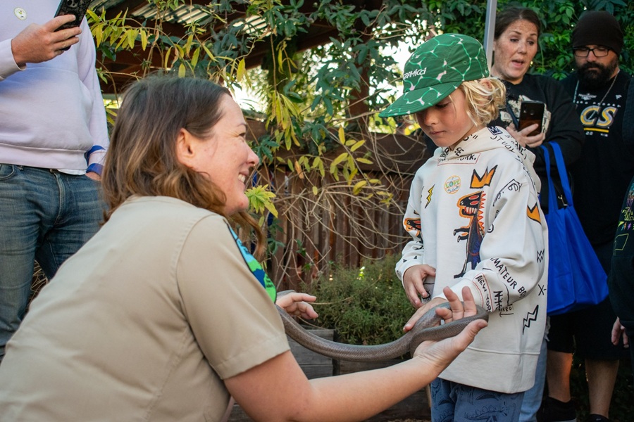 Nature Night at Children's Museum of Discovery