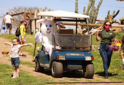 The Easter Bunny Visits The Children’s Nature Retreat