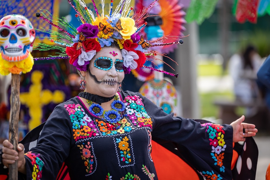 day of the dead costume