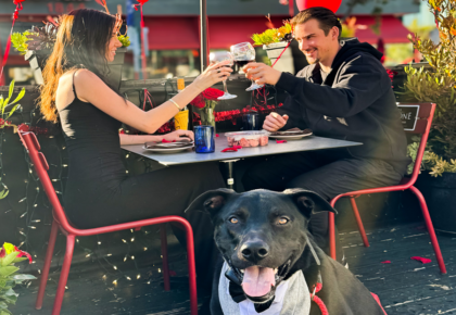 dog menu for Valentine's Day