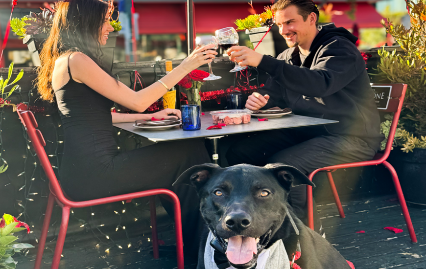 dog menu for Valentine's Day
