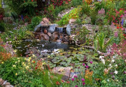 Clairemont Garden Tour