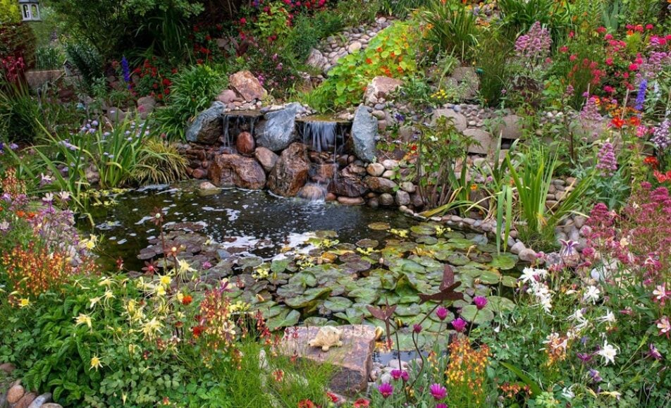 Clairemont Garden Tour