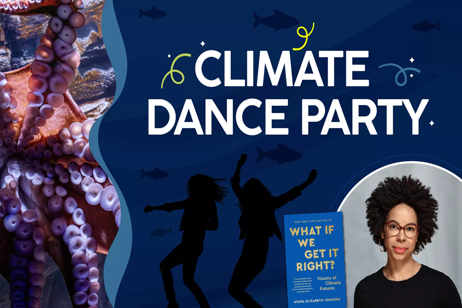 Climate Dance Party Event Poster