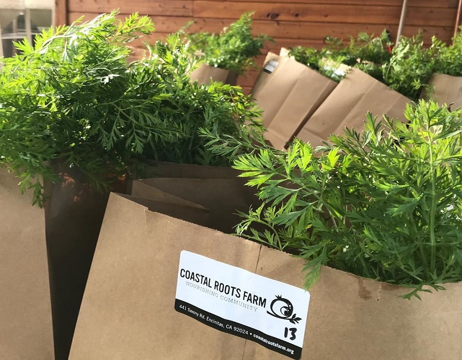 Coastal Roots Farm Is In The Critical Sector And Is Still Open