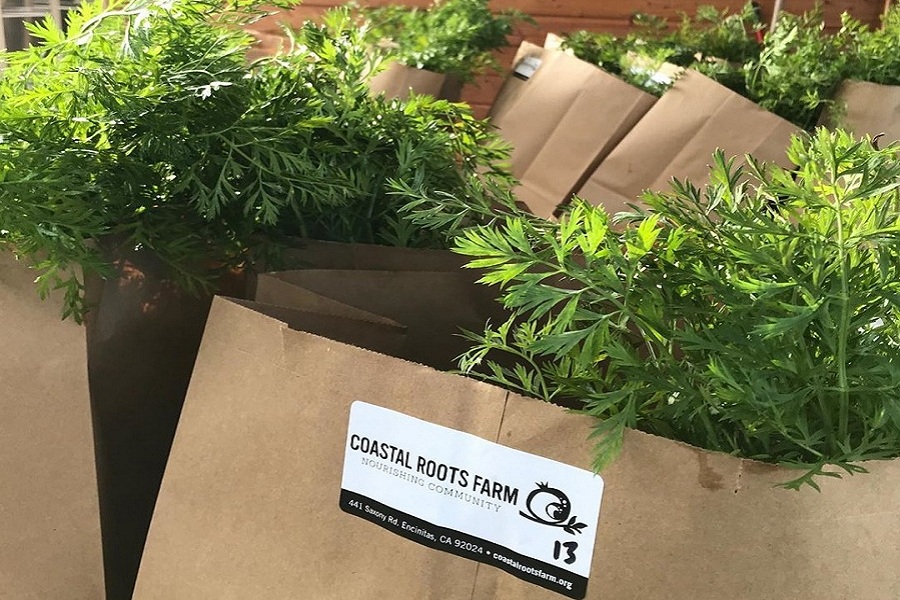 Coastal Roots Farm Is In The Critical Sector And Is Still Open