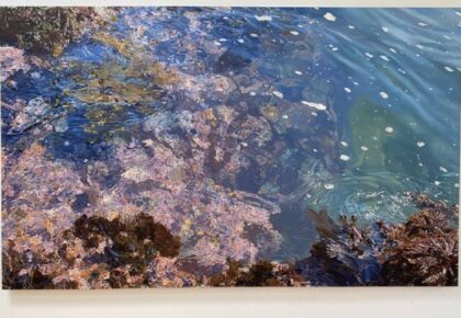 Connie Jenkins Intertidal exhibit on display at Oceanside Museum of Art