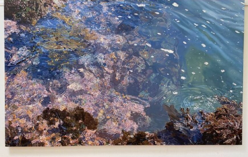 Connie Jenkins Intertidal exhibit on display at Oceanside Museum of Art