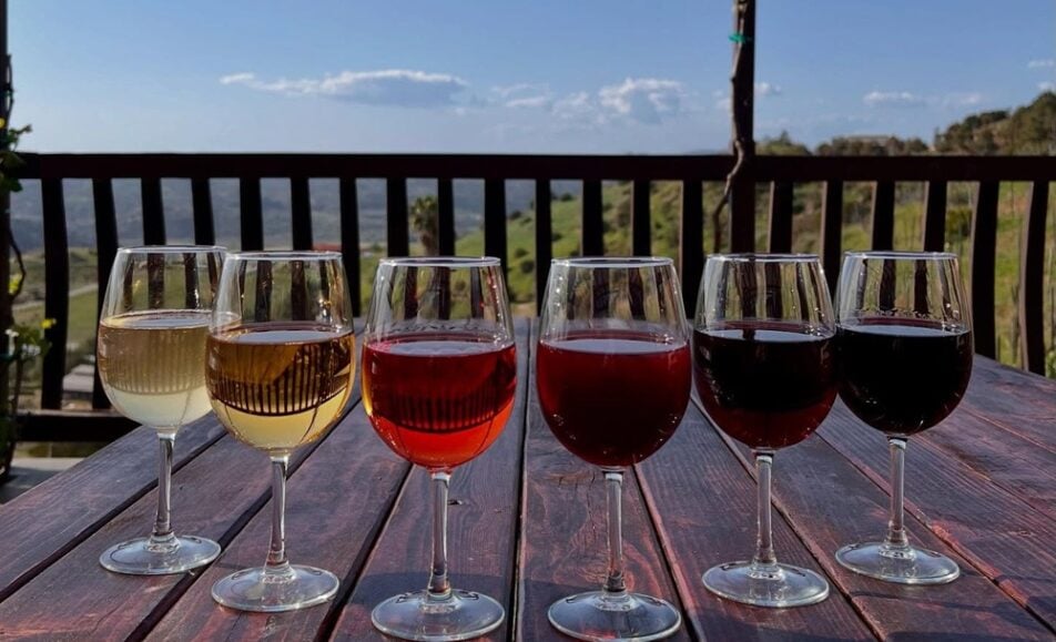 glasses of wine from Cordiano Winery
