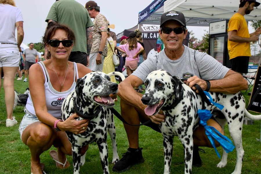Dogs and owners enjoying Cardiff Dog Days of Summer 