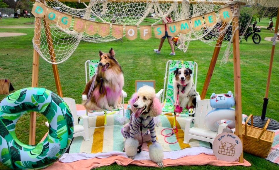 21st Annual Cardiff Dog Days of Summer at Encinitas Community Park